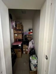 Oasis @ Elias (D18), Condominium #557568681